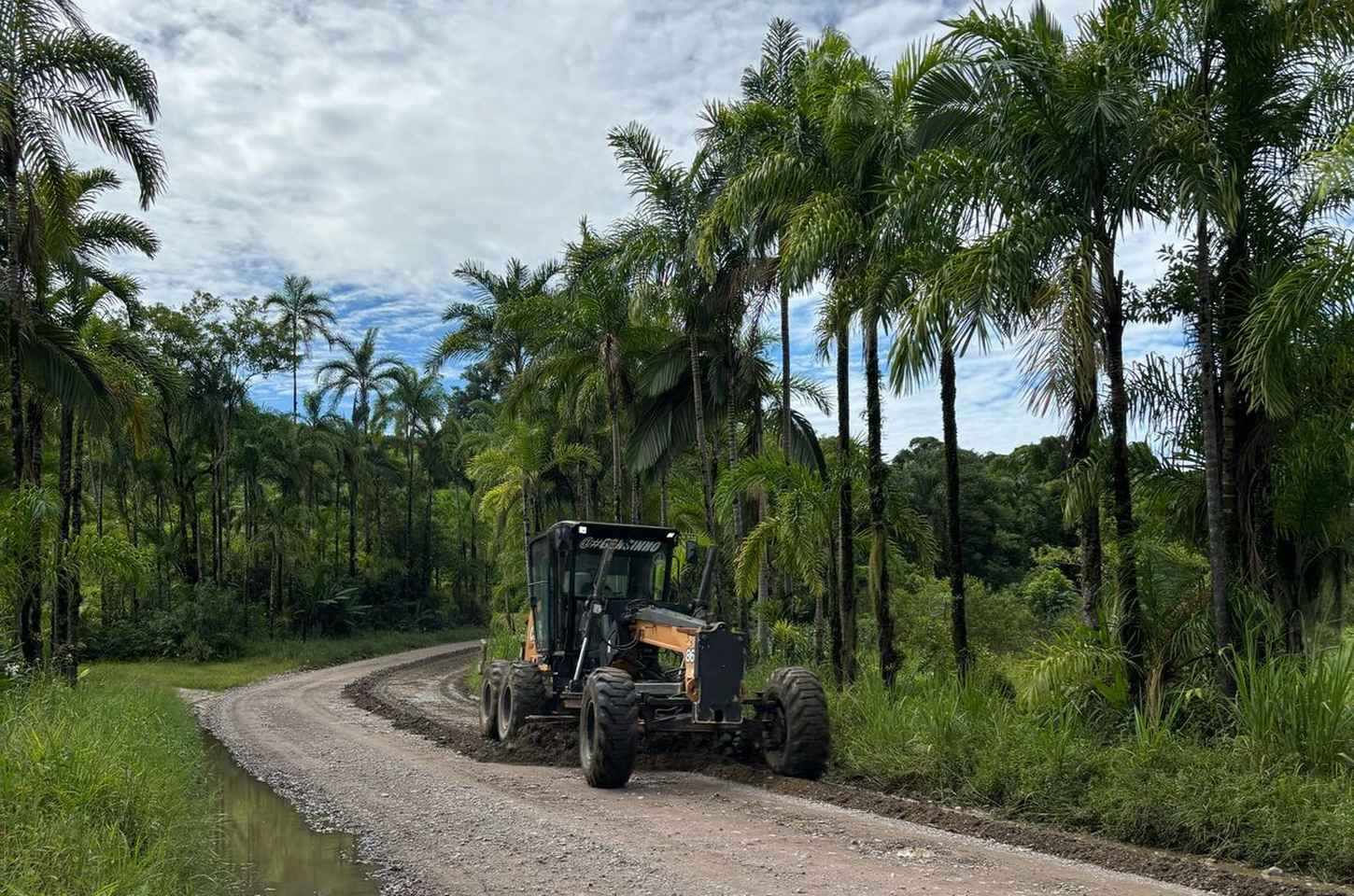 Estudo ambiental para pavimentação da PR-405 no litoral do Paraná é licitado