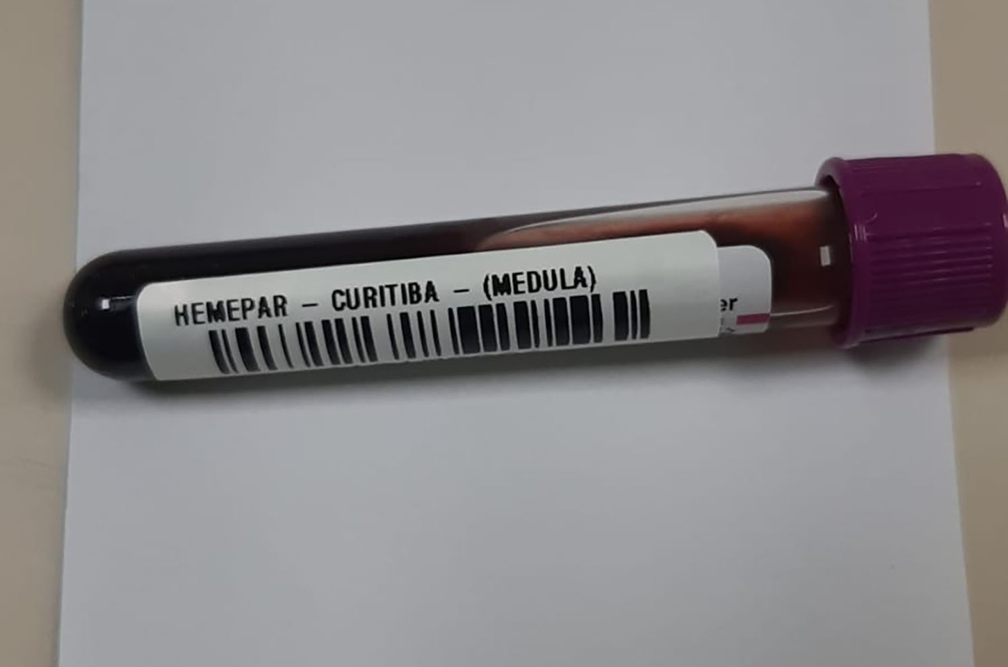 Fevereiro laranja alerta para a leucemia, câncer que afeta o sangue