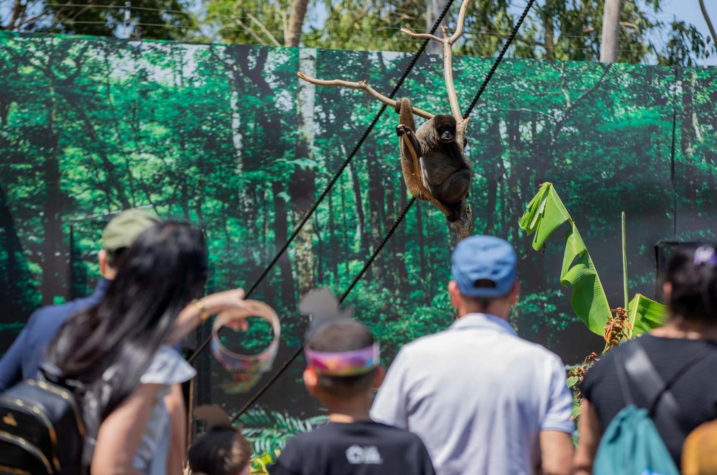 Foz do Iguaçu é eleita um dos melhores destinos da América do Sul