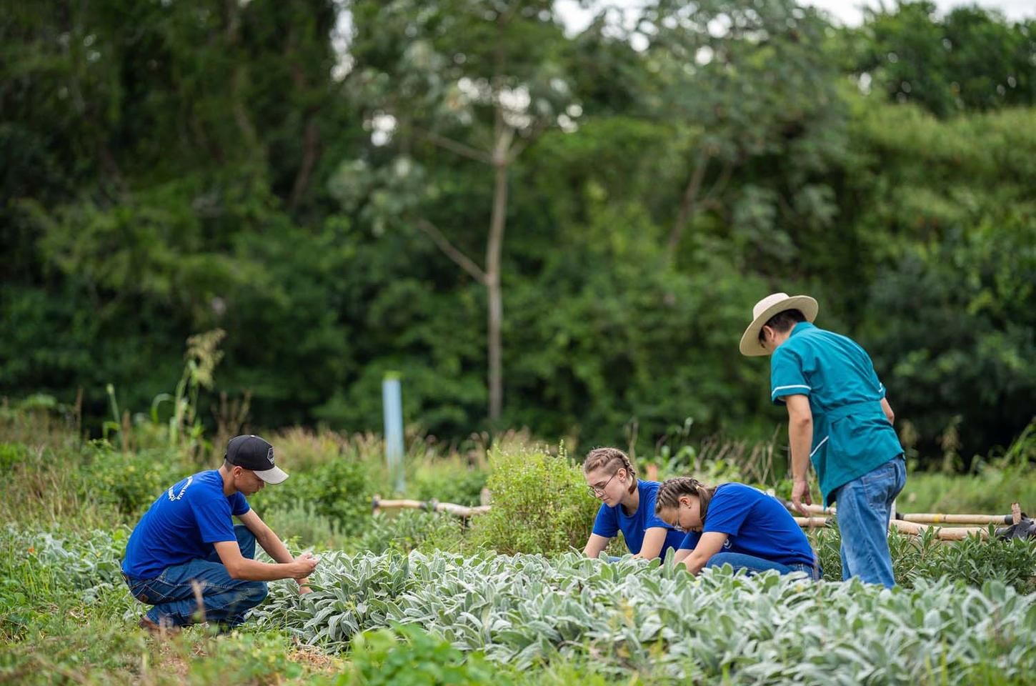 Fundação Araucária lança programa de R$ 3,4 milhões para colégios agrícolas do Paraná