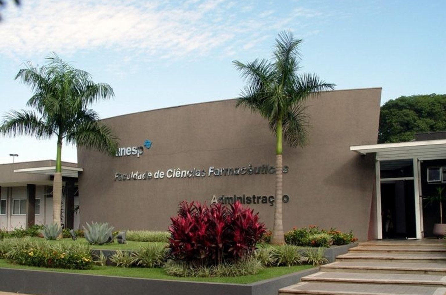 Fungo da Amazônia produz corante natural para cosméticos ecológicos