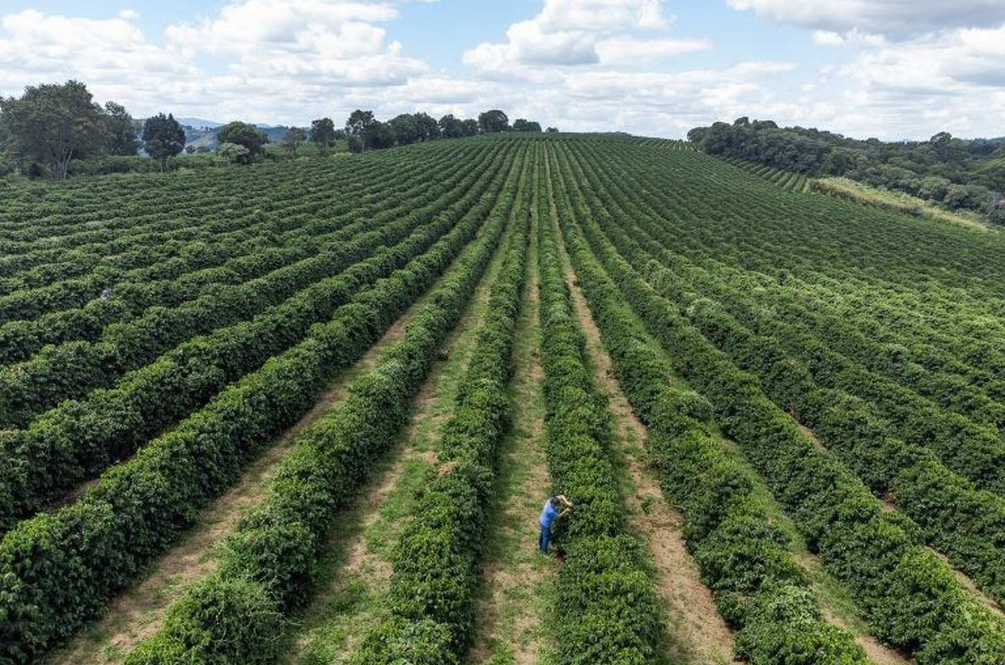 Governo de SP anuncia R$ 455 milhões para fortalecer agro paulista na Agrishow
