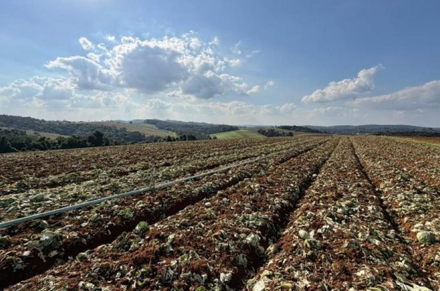 Governo de SP libera R$ 5 milhões em crédito emergencial para produtores rurais em Ibiúna e Piedade após chuvas