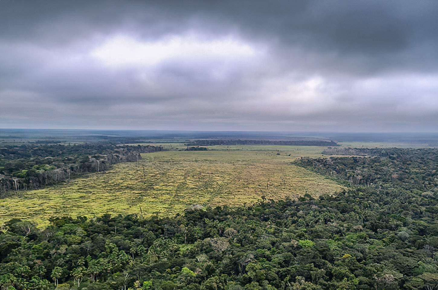 Governo defende vetos à Lei do Licenciamento Ambiental em nota oficial