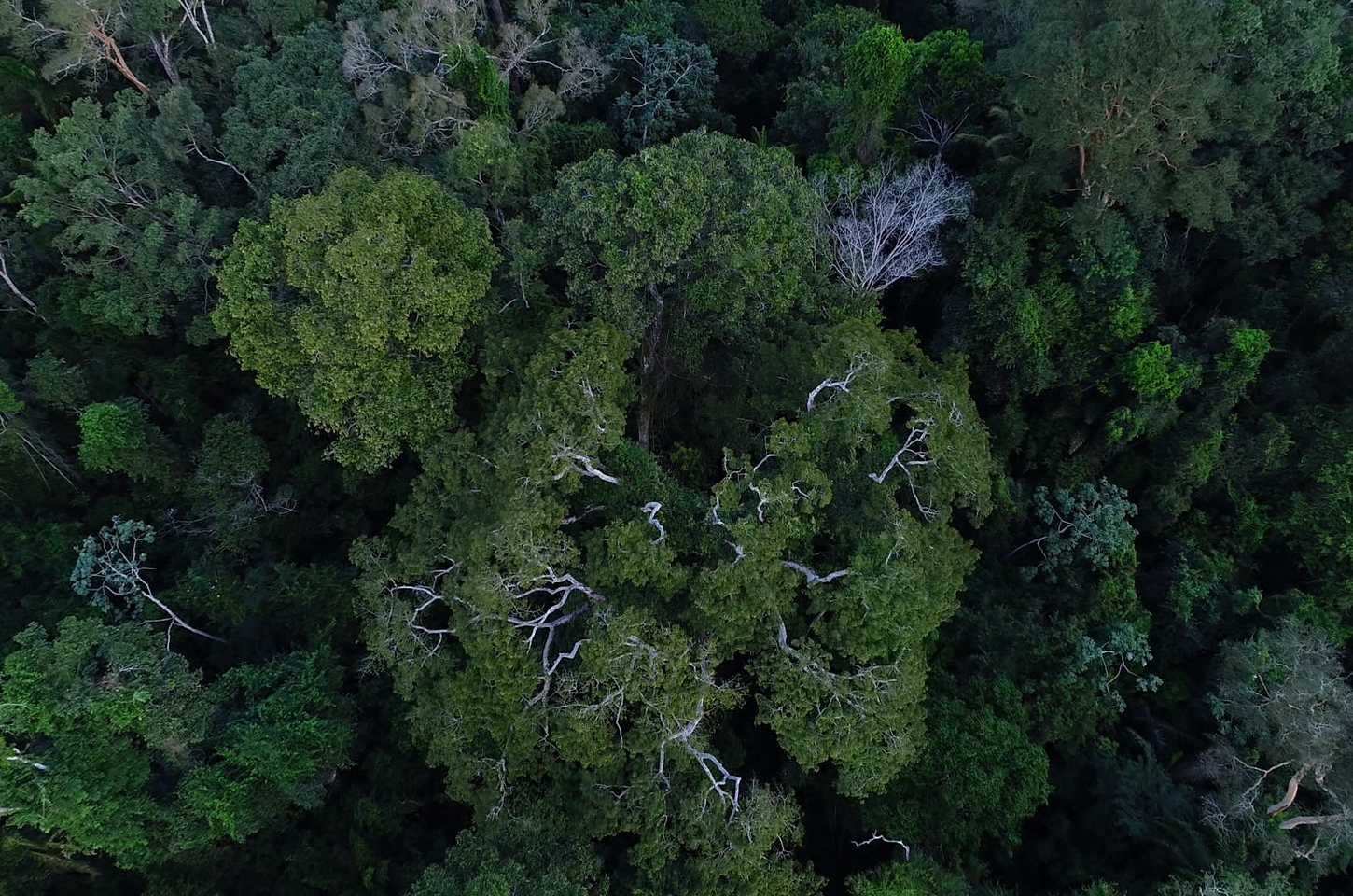 Governo e BNDES capacitam gestores de fundos de pensão em investimentos sustentáveis