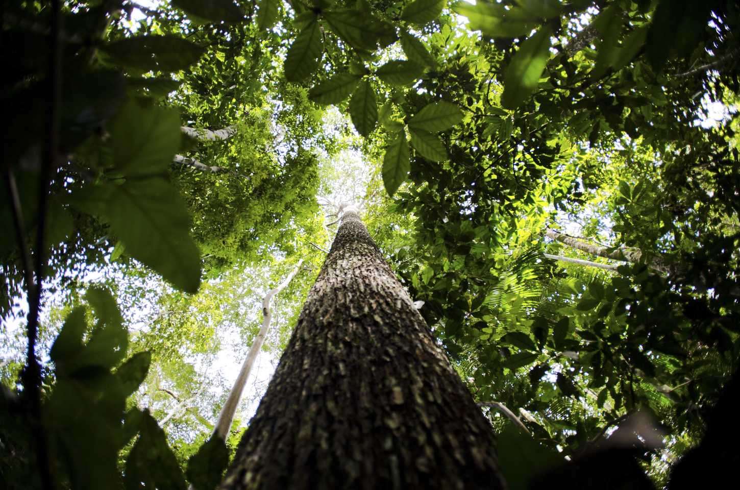 Governo estuda nova regulamentação para licenciamento ambiental