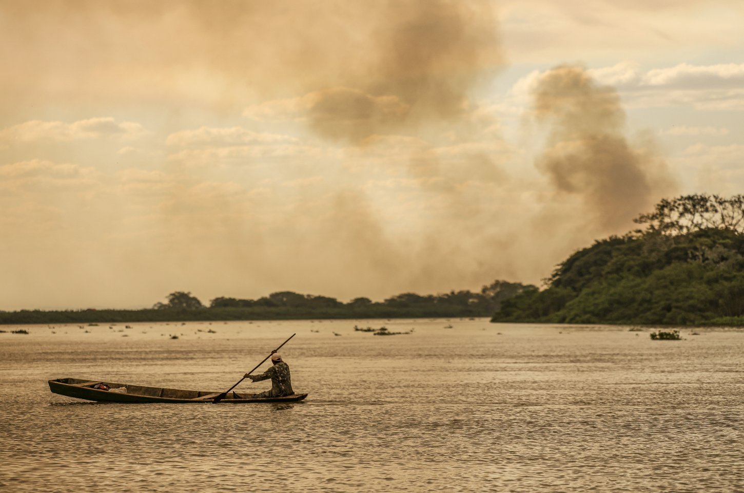 Governo federal lança sumário executivo do Plano Clima