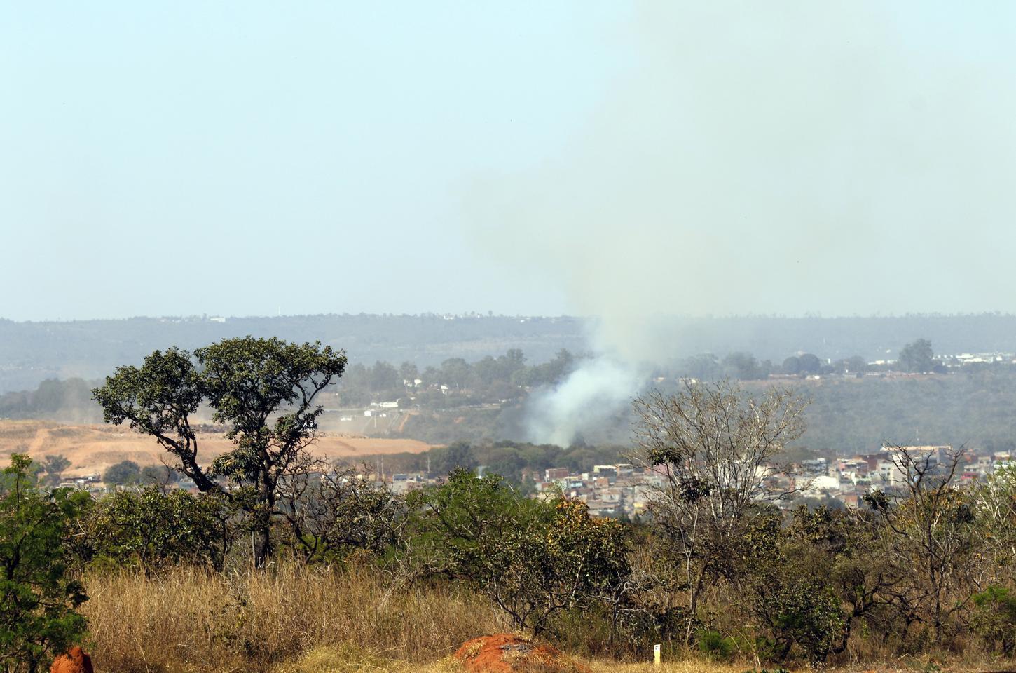 Governo lança edital de R$ 19 milhões para arborizar cidades e combater calor extremo