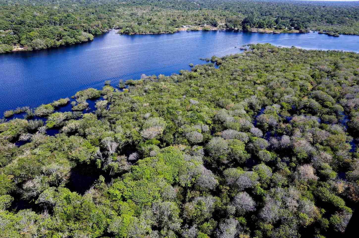 Inscrições abertas para projetos contra desmatamento na Amazônia