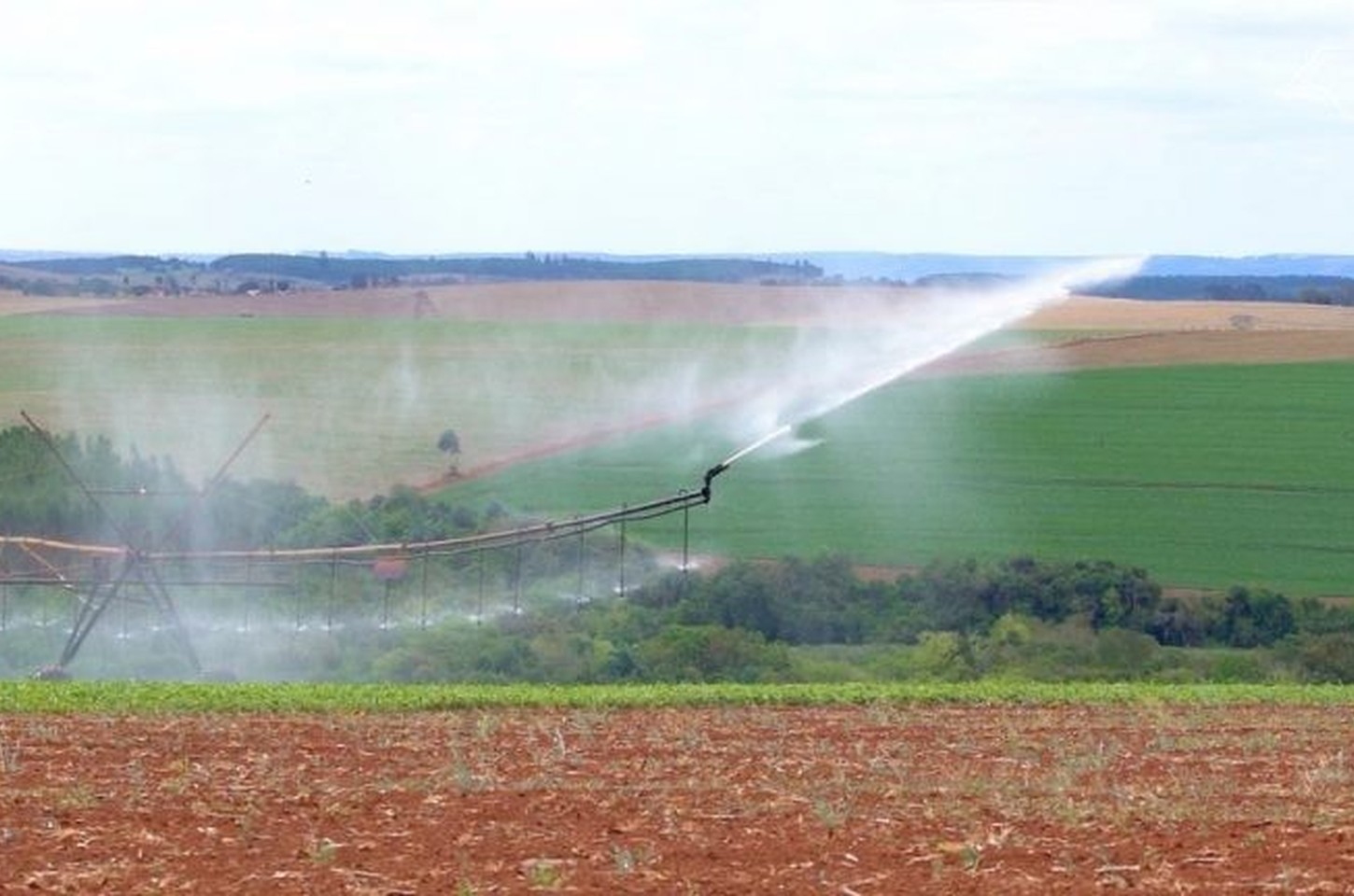 Irriga+SP: crédito impulsiona agricultura sustentável em São Paulo