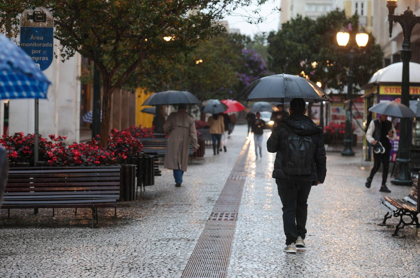 Janeiro de 2026 no Paraná terá chuvas e calor dentro da média histórica