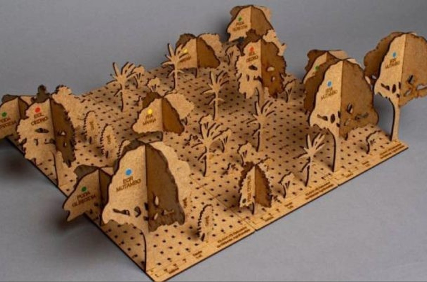 Kit da USP vence prêmio de design por democratizar agroflorestas