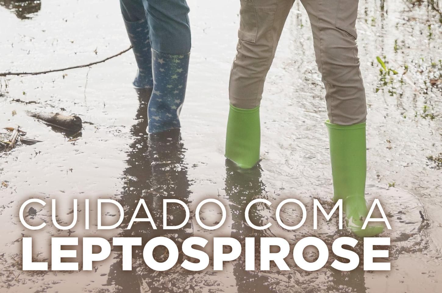 Leptospirose: alerta máximo com chegada das chuvas de outono