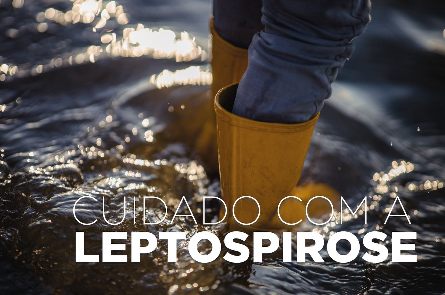 Leptospirose: doença grave ligada a enchentes exige alerta no Paraná