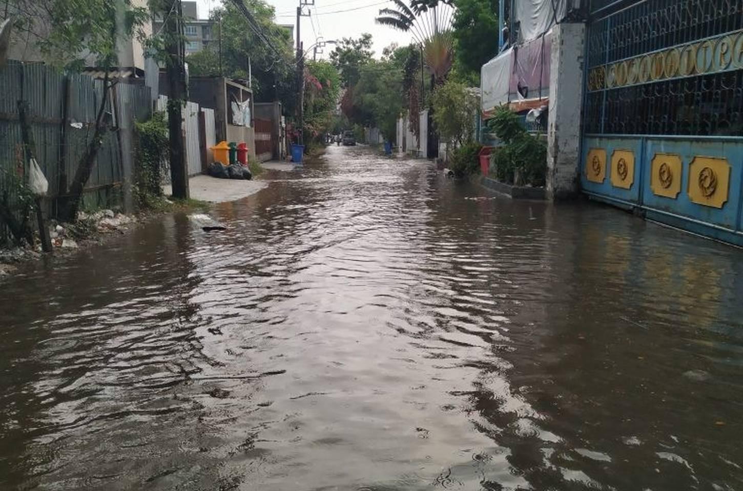 Leptospirose: risco aumenta com chuvas e enchentes em São Paulo