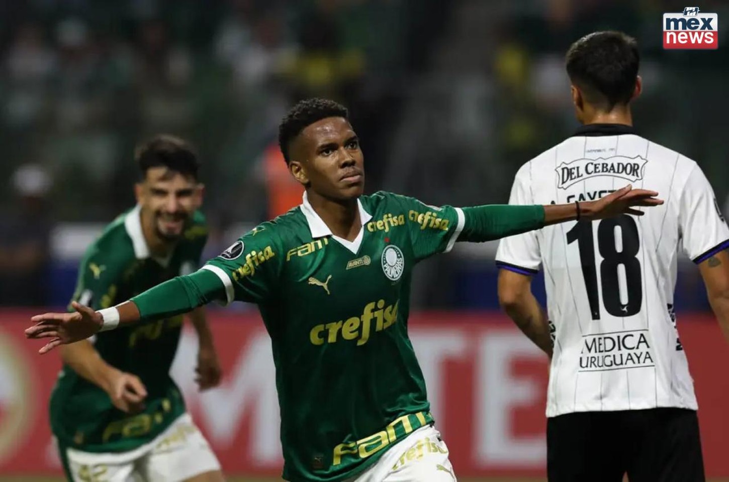Libertadores 2025: os quatro gigantes que buscam a glória nas semifinais