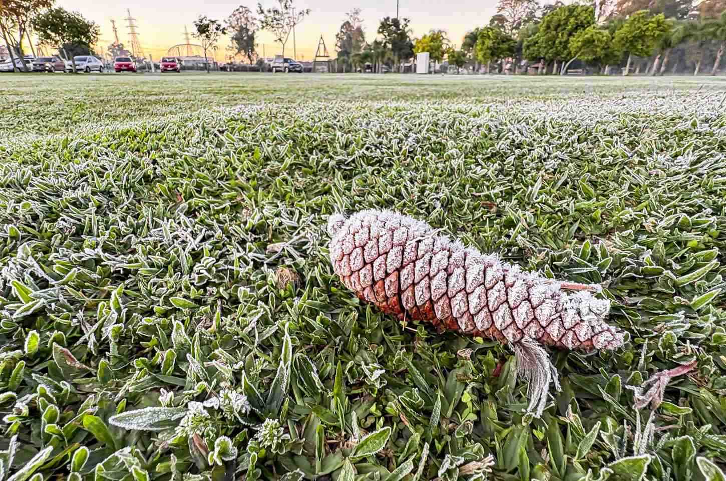 Maio terá duas frentes frias e risco de geada no Paraná, prevê Simepar