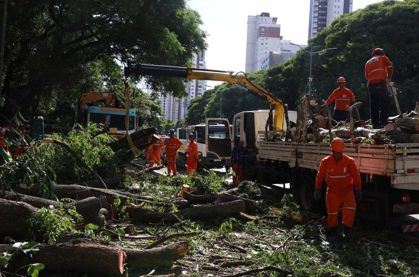 Mais de 800 mil ainda sem energia em São Paulo após ciclone