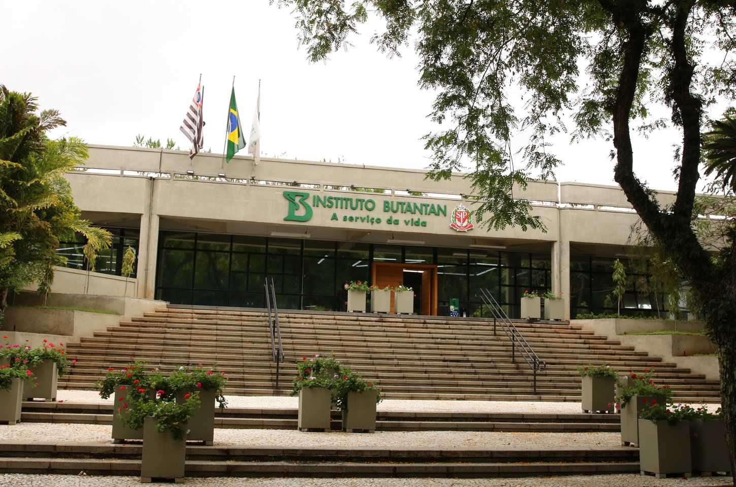 Ministério da Saúde aprova parcerias para produção de medicamentos estratégicos