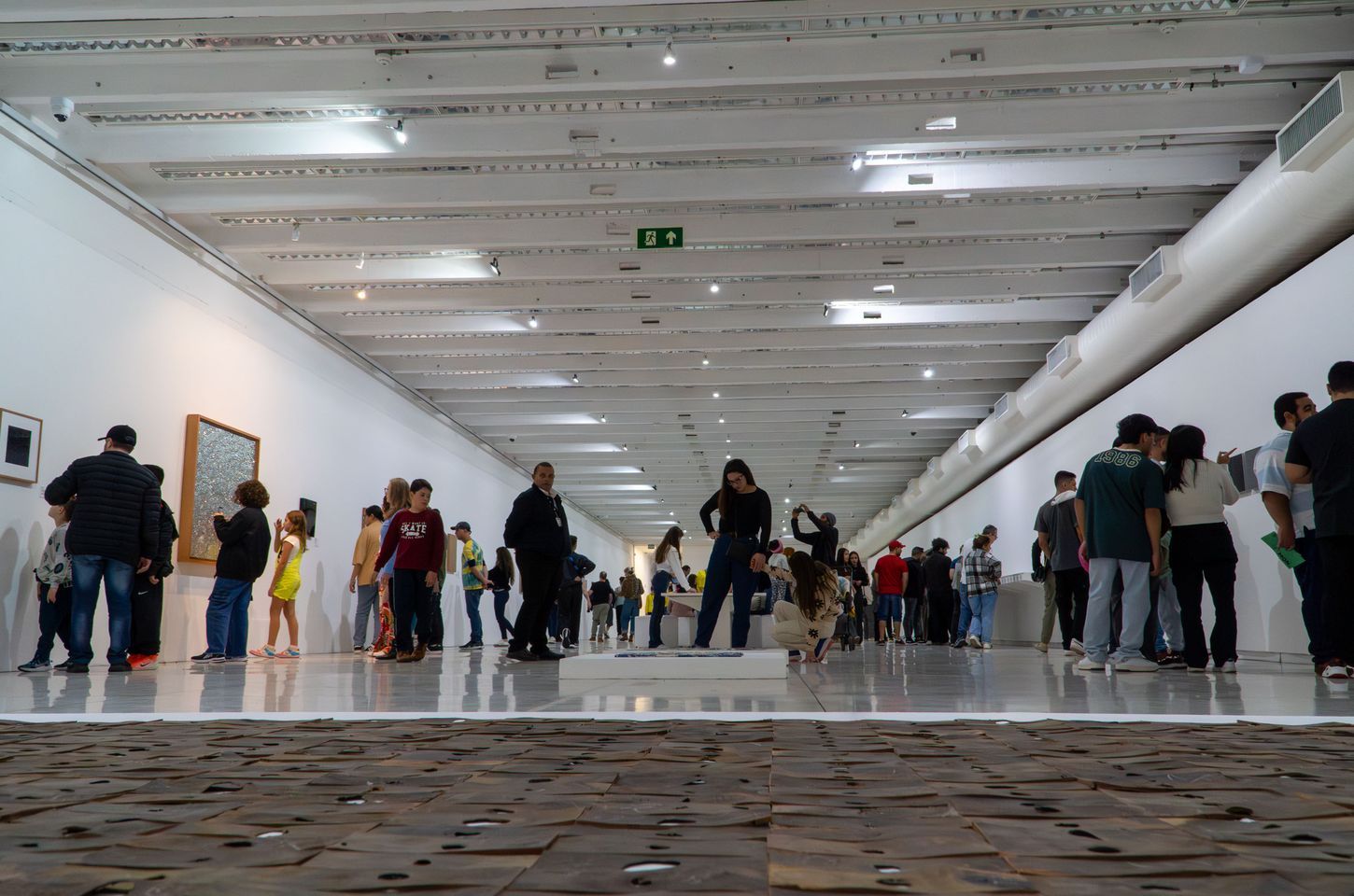 Museu Oscar Niemeyer bate recorde de público em 2025 com 720 mil visitantes
