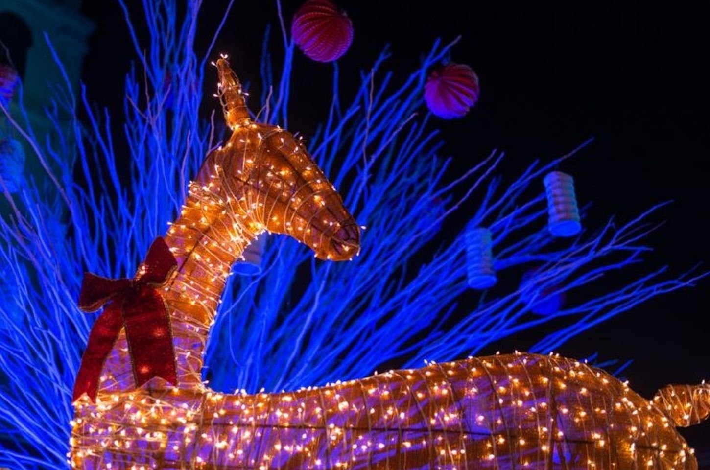 Natal em SP: 1/3 das cidades turísticas têm programação gratuita