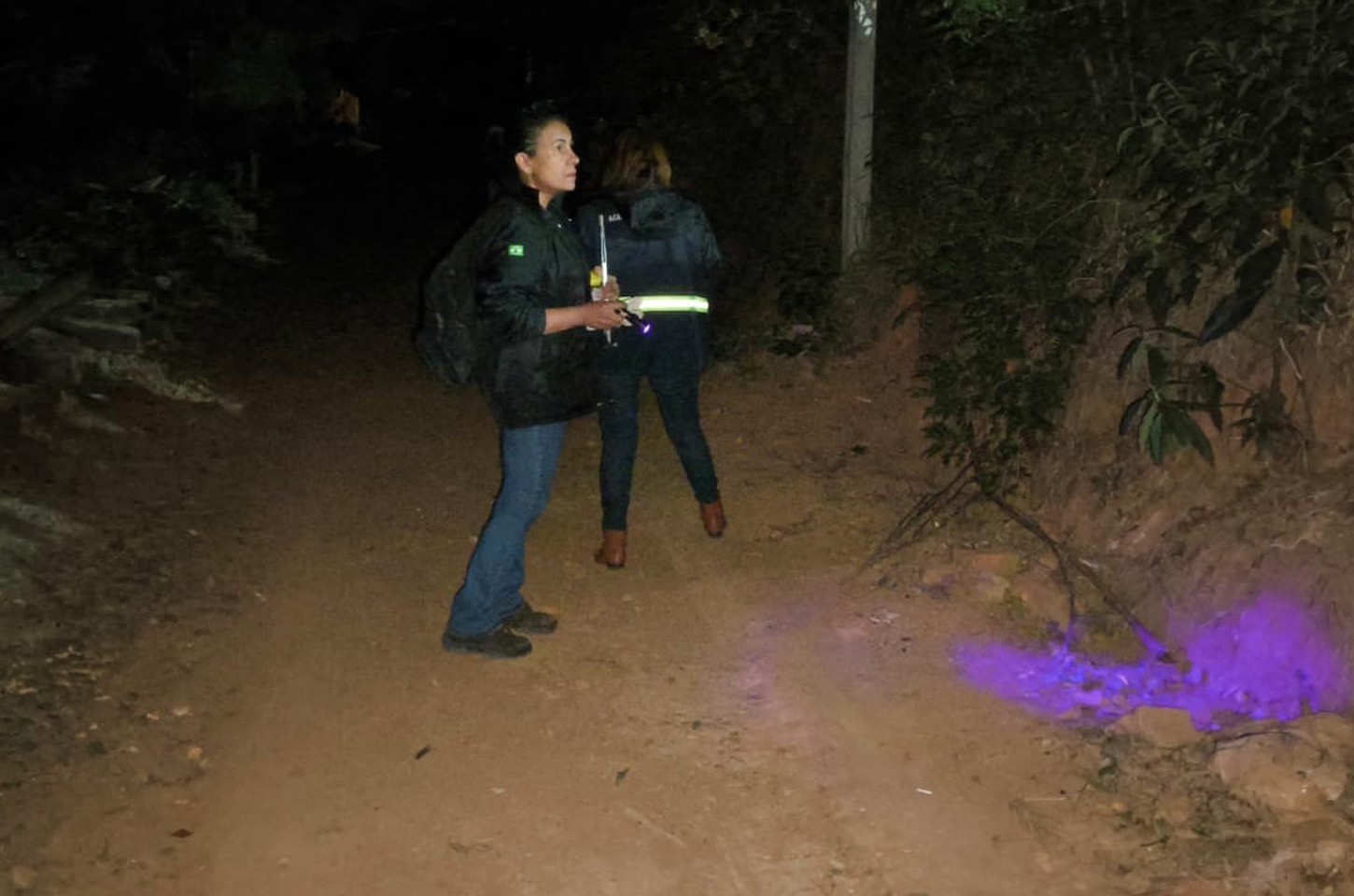 Norte pioneiro do Paraná registra infestação de escorpiões e três mortes