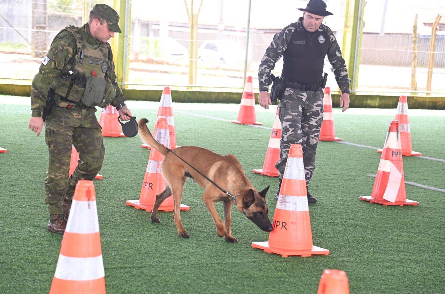 Novos kits de detecção de drogas reforçam treinamento de cães da PM do Paraná