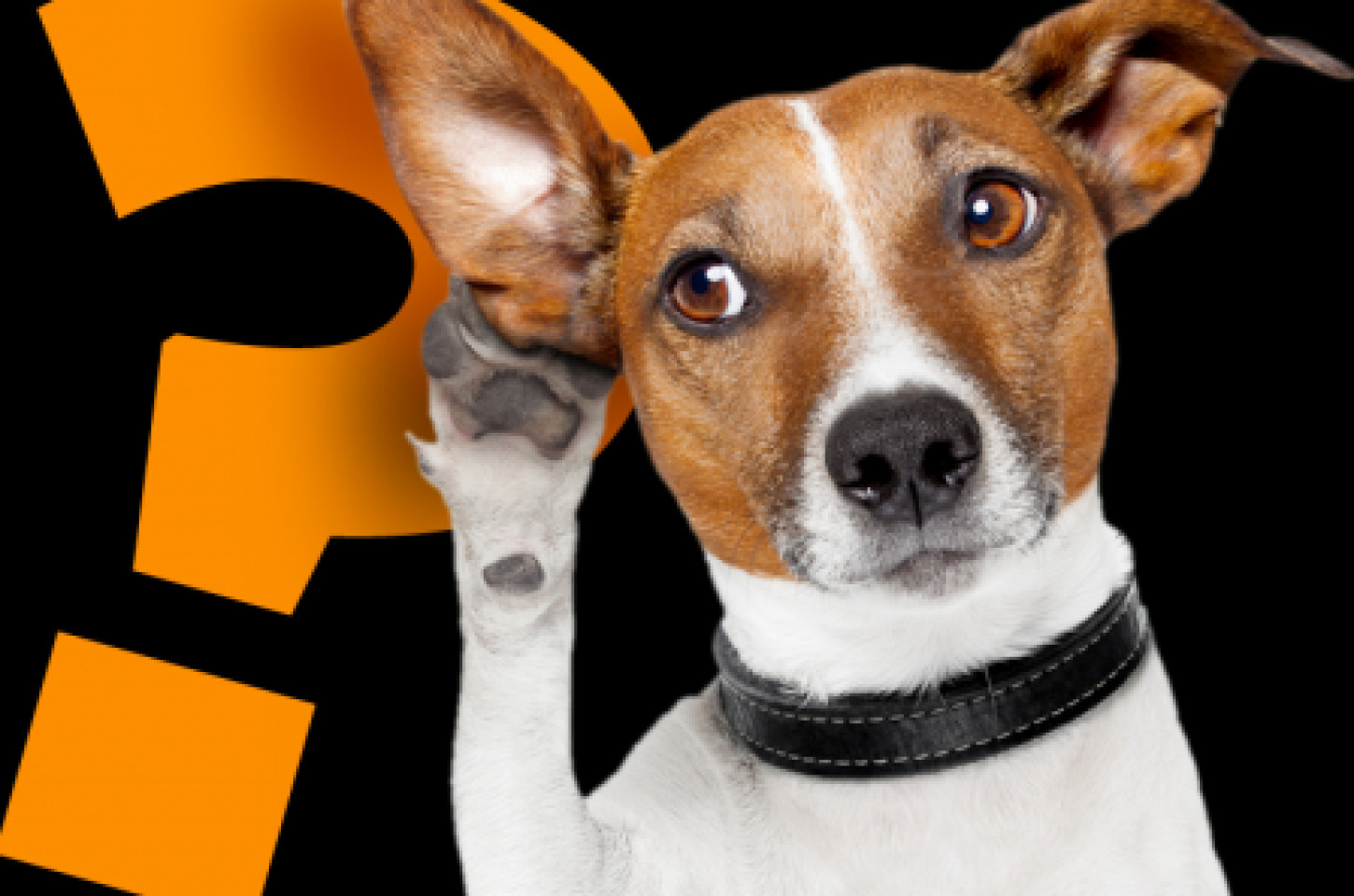 Onde adotar seu anjo?