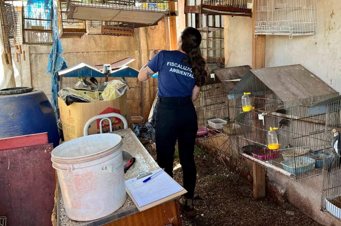 Operação resgata 42 aves silvestres mantidas em cativeiro irregular no Paraná