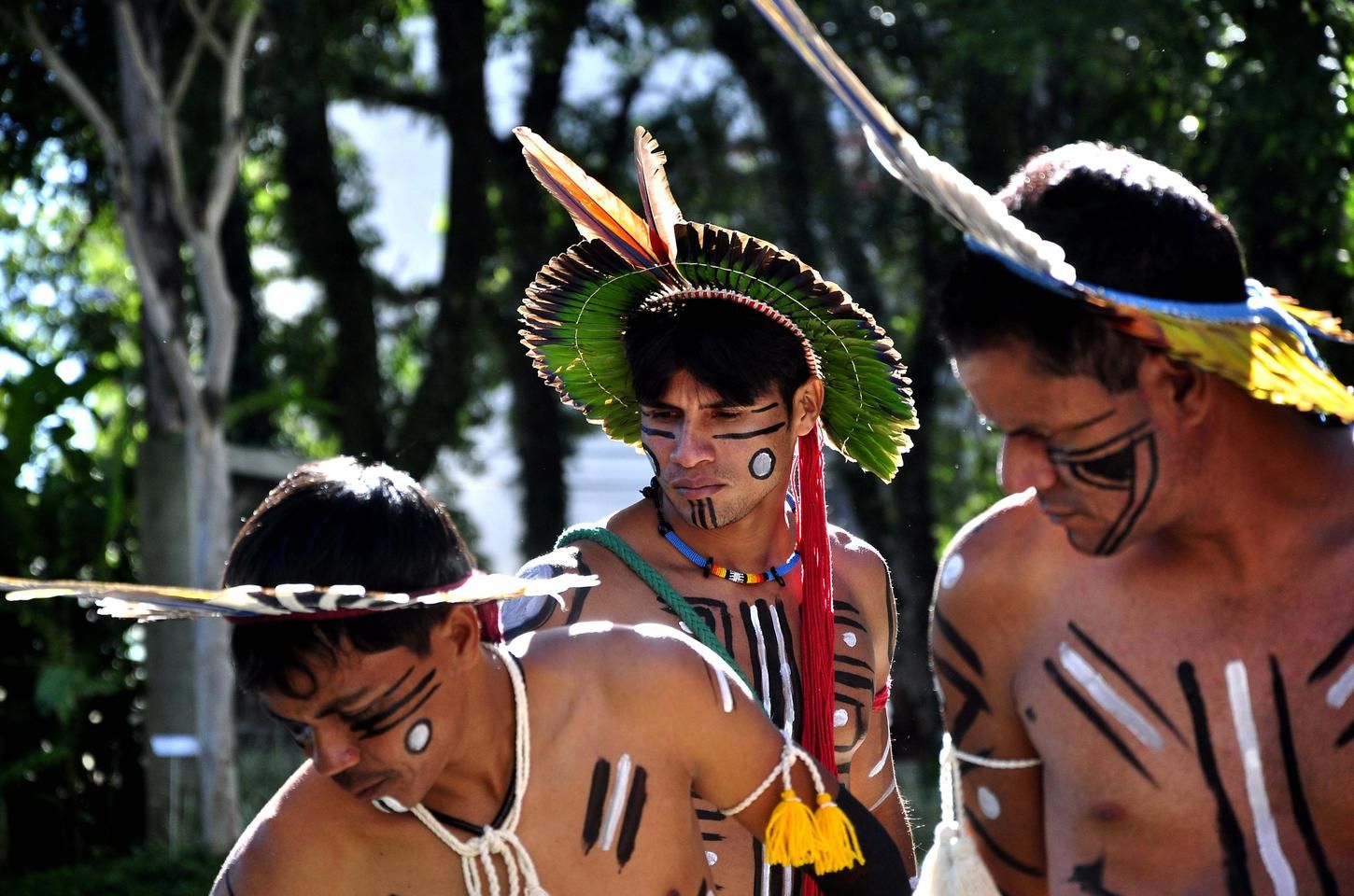 Paraná abre consulta pública para edital cultural de R$ 23 milhões