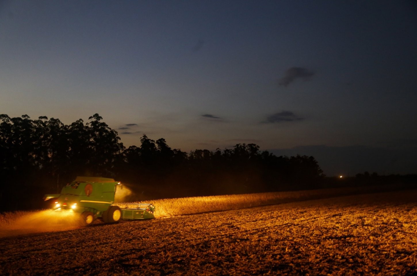 Paraná amplia período de plantio de soja para produtores de sementes