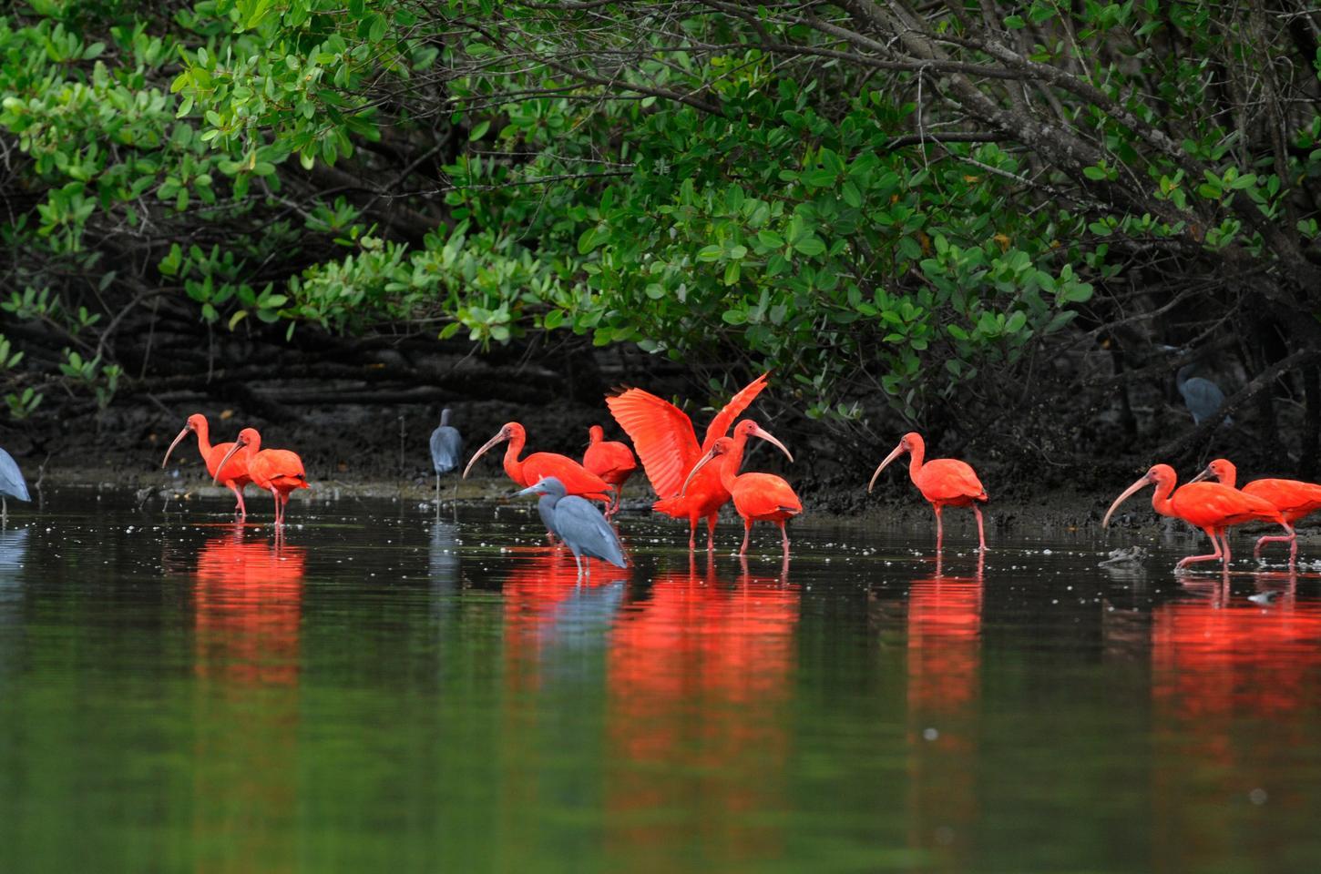 Paraná brilha na COP30 com roteiros turísticos sustentáveis