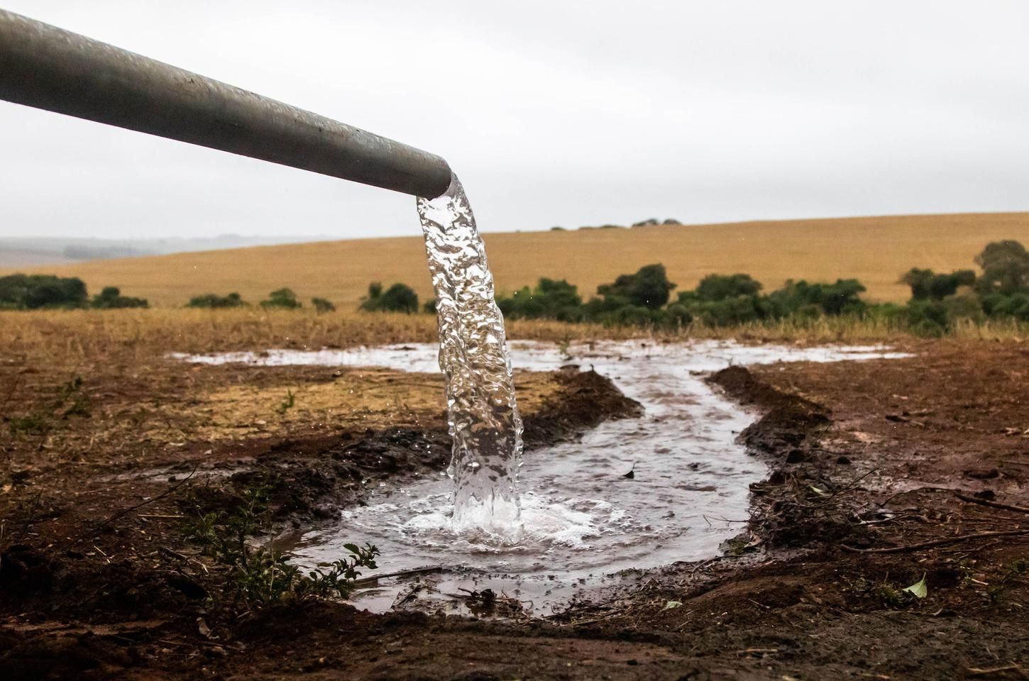 Paraná celebra Dia Mundial da Água com extensa agenda ambiental