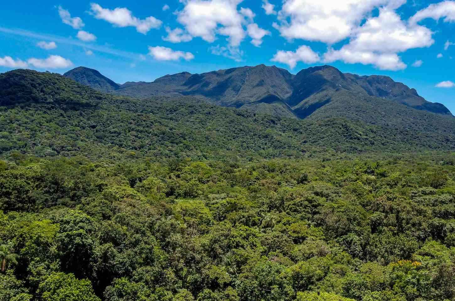 Paraná conquista prêmio nacional com turismo sustentável na Mata Atlântica