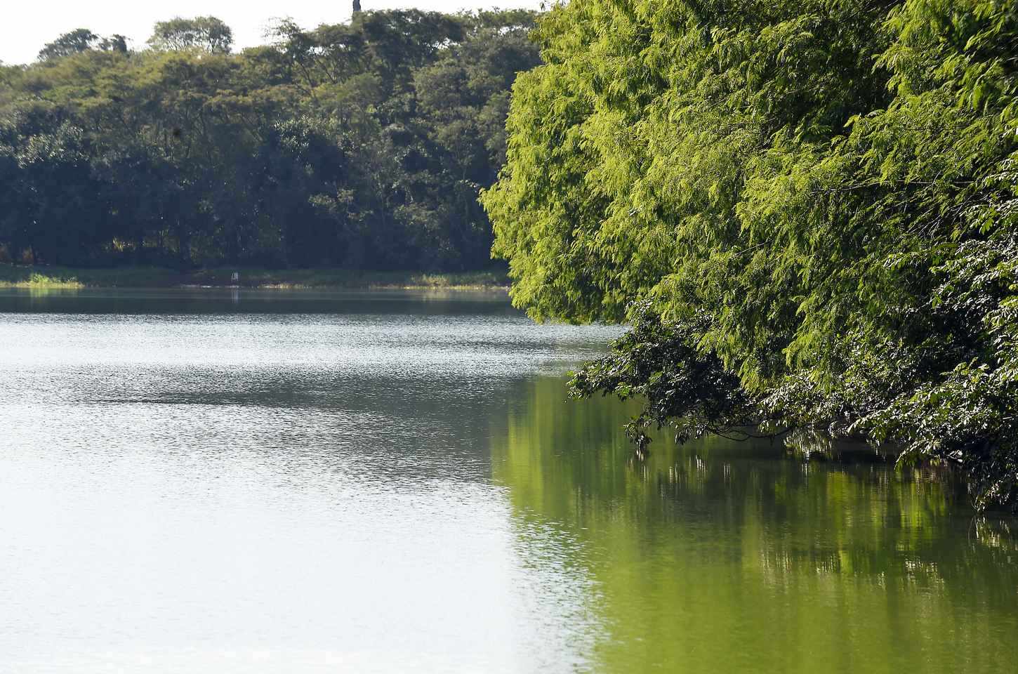 Paraná emite mais de 2,5 mil outorgas para uso da água em 2025