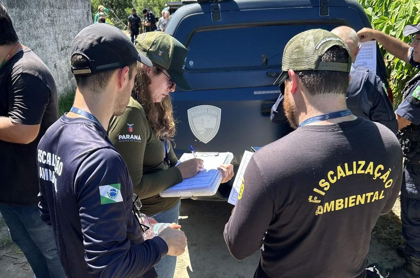 Paraná ganha canal exclusivo para denúncias de crimes ambientais