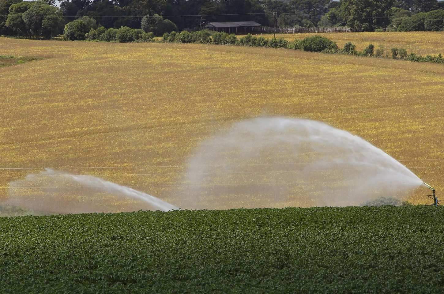 Paraná mantém ICMS zero para produtor rural até 2026