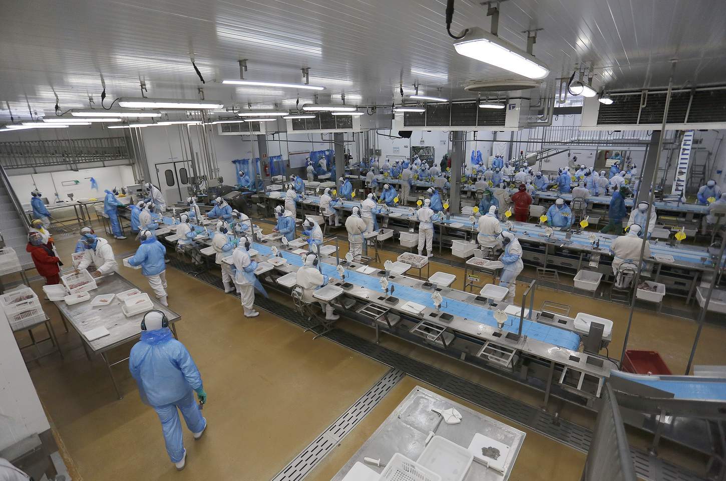 Paraná oferece mais de 25 mil vagas de emprego com carteira assinada