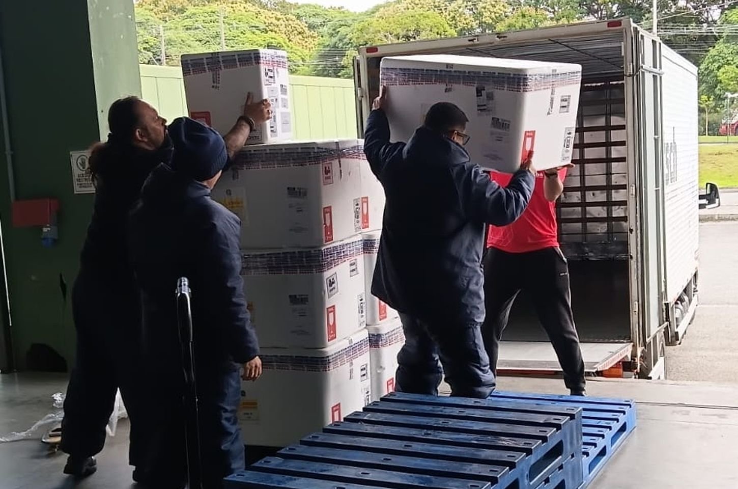 Paraná recebe novo medicamento para proteger bebês contra vírus respiratório
