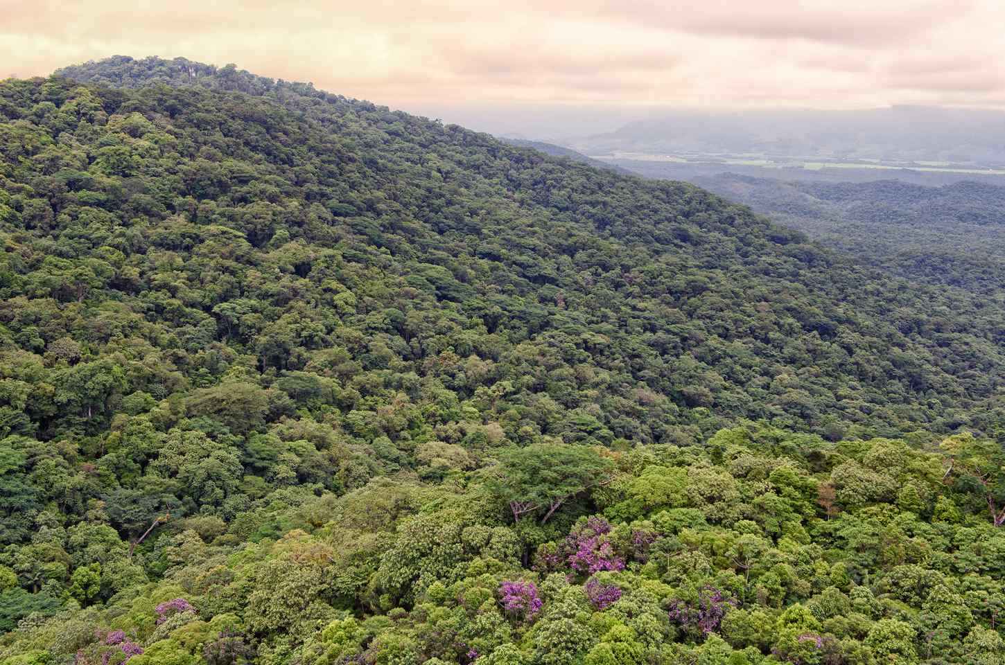 Paraná se destaca com plano robusto de ação climática no Brasil