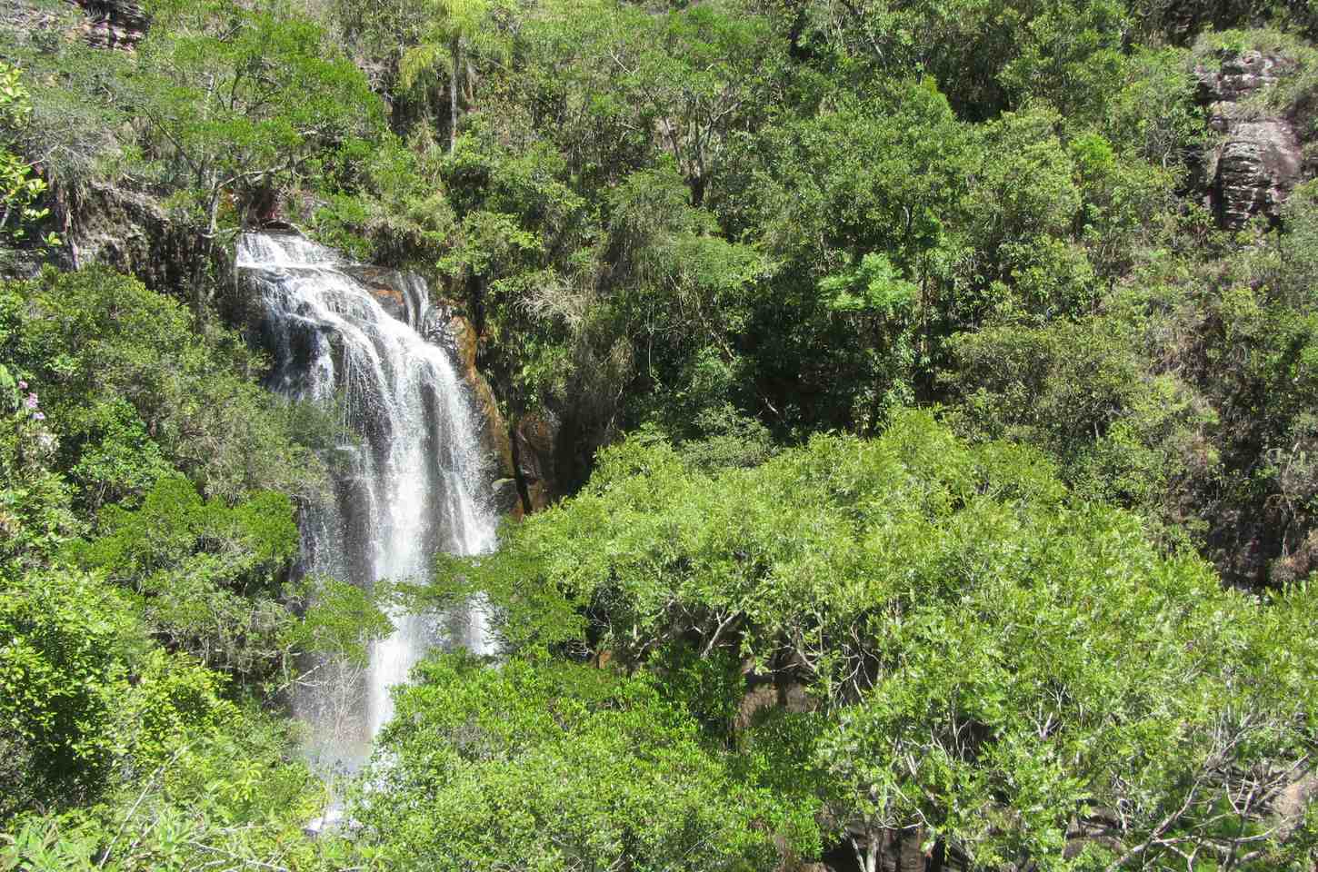 Paraná seleciona sete reservas para projeto pioneiro de créditos de biodiversidade