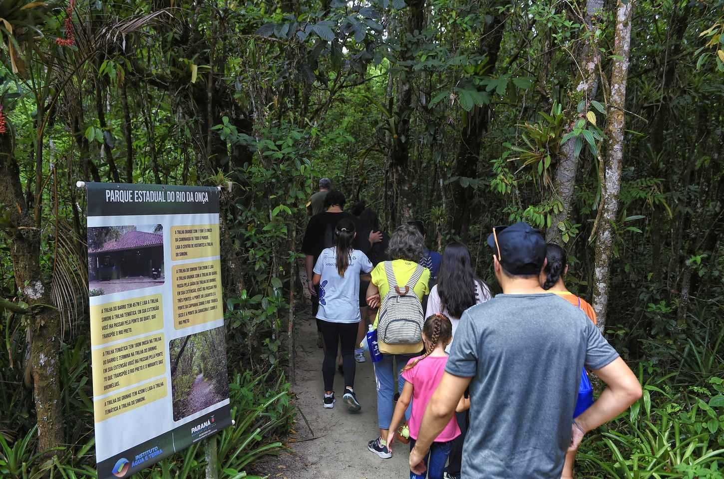 Parque Rio da Onça: um refúgio da Mata Atlântica no litoral do Paraná