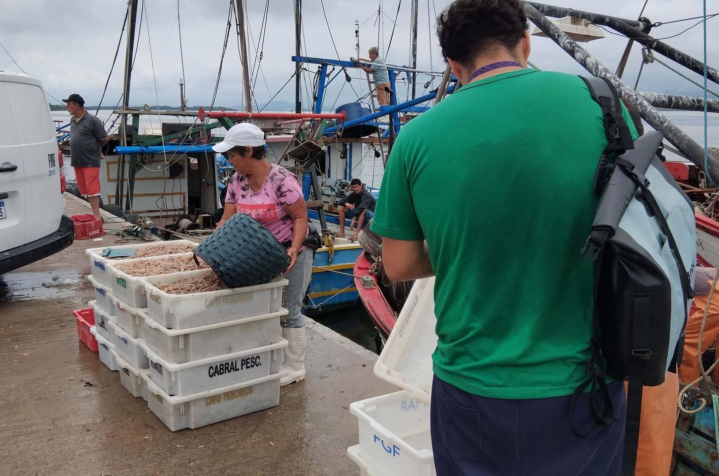 Pesca artesanal segue firme na Baía de Guaratuba durante obras da ponte