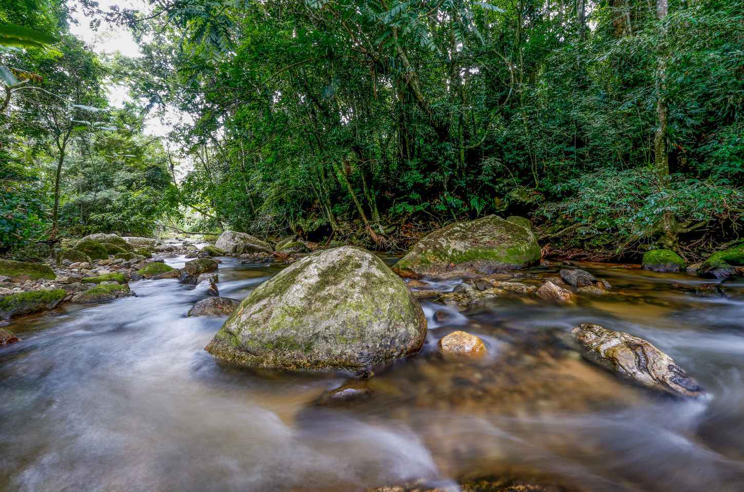 Plano decenal do MMA fortalece gestão ambiental no Brasil