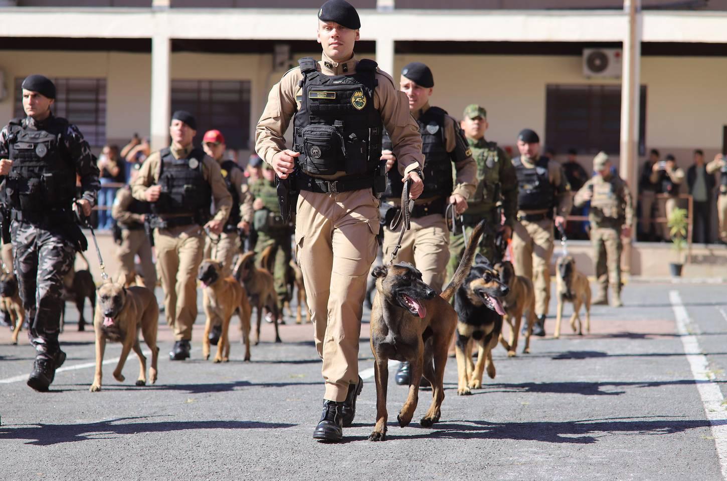 Polícia Militar forma 34 novos operadores de cães em Curitiba