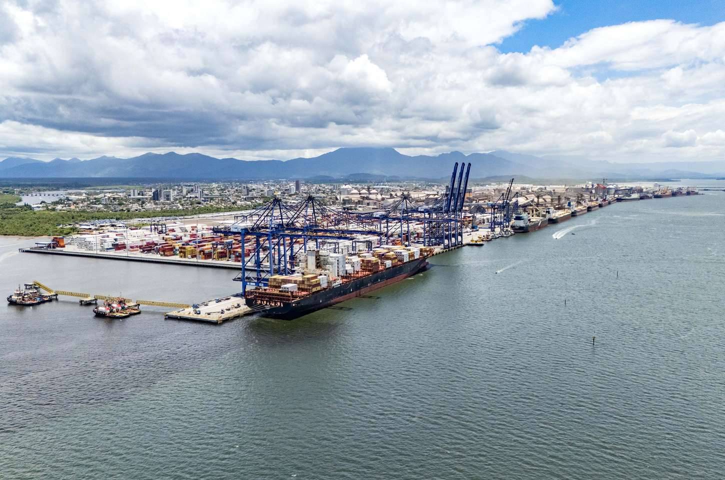Porto de Paranaguá lidera exportação de frango do Brasil no primeiro trimestre