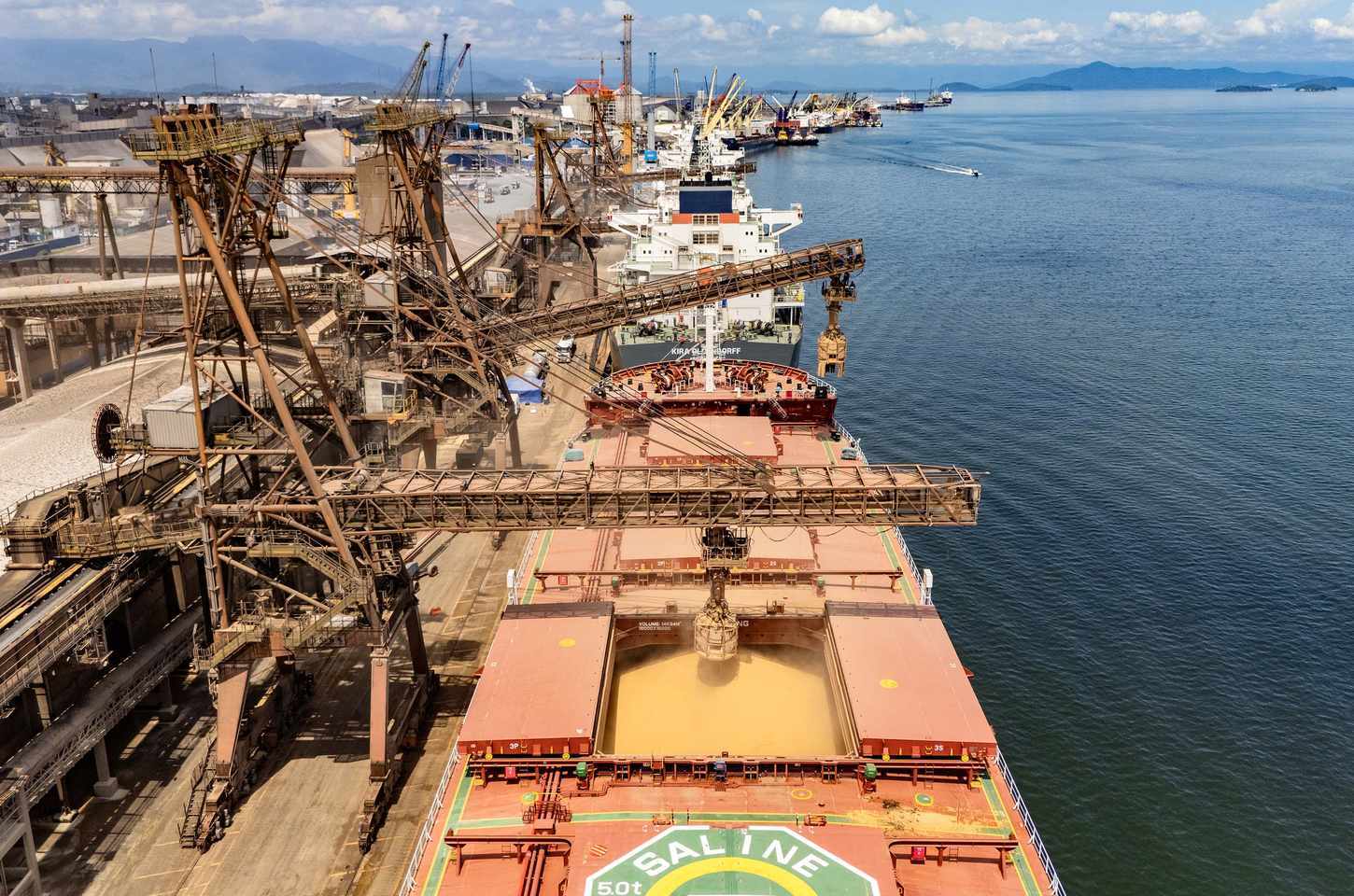 Portos do Paraná batem recorde e lideram exportações de frango no mundo