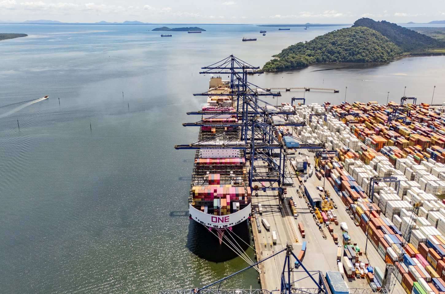 Portos do Paraná lideram exportação de frango e consolidam crescimento recorde