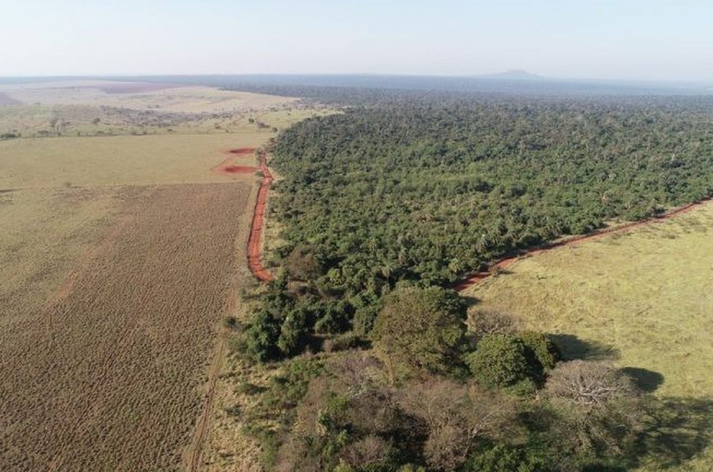 Prazo para inscrição em projetos de restauração no Pontal do Paranapanema é prorrogado