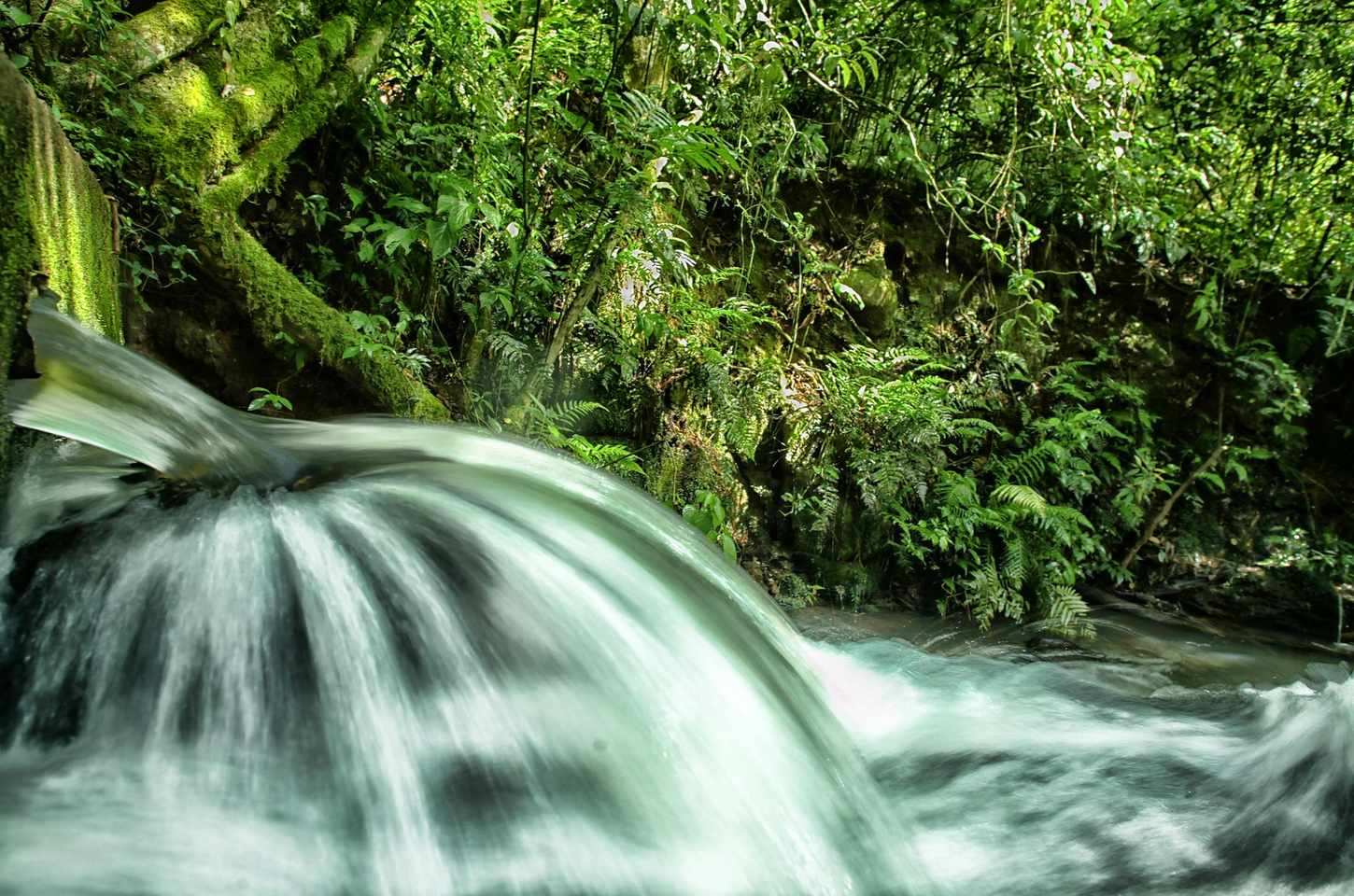 Prazo para relatórios do ICMS Ecológico é prorrogado no Paraná